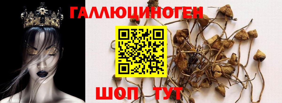 Лабытнанги  Галлюциногенные грибы прущие грибы  Вход с VPN 